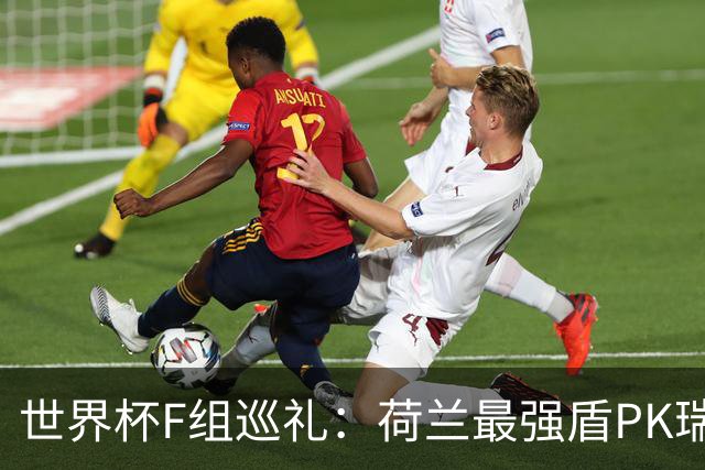 世界杯F组巡礼：荷兰最强盾PK瑞典犀利刀 日本短板明显