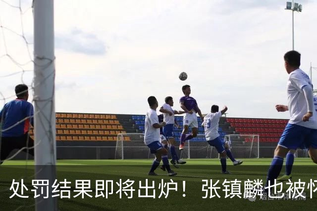 处罚结果即将出炉！张镇麟也被怀疑，球迷呼吁应取消上海冠军