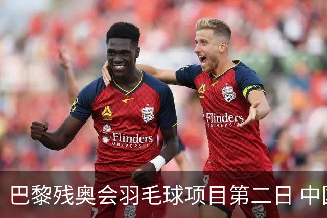 巴黎残奥会羽毛球项目第二日 中国队取得14胜4负