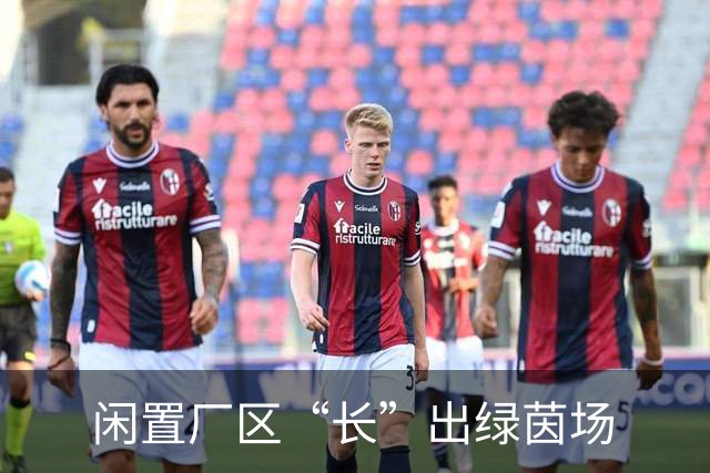 闲置厂区“长”出绿茵场